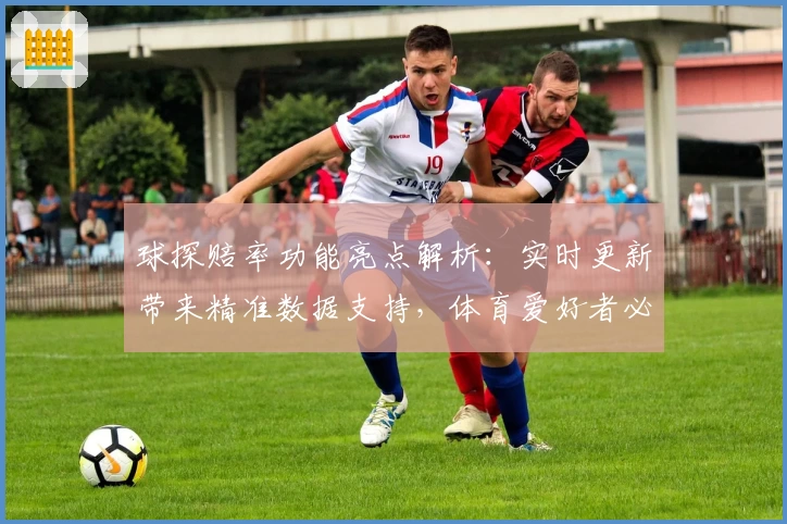球探赔率功能亮点解析：实时更新带来精准数据支持，体育爱好者必备工具