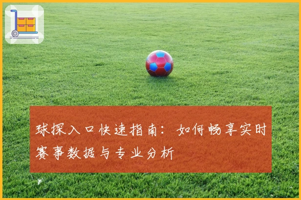 球探入口快速指南：如何畅享实时赛事数据与专业分析