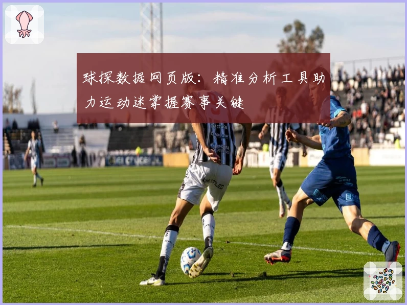 球探数据网页版：精准分析工具助力运动迷掌握赛事关键